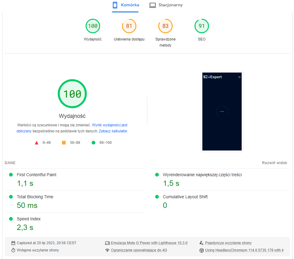 Jaki hosting wybrać? Poradnik dla Kupującego 7 page speed insight mobile SEO Expert - SEOhost